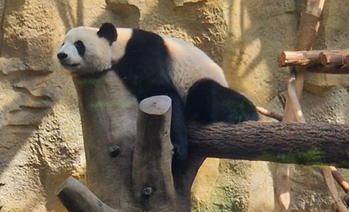 picture blog f5g f6g foundation next generation optical network generation