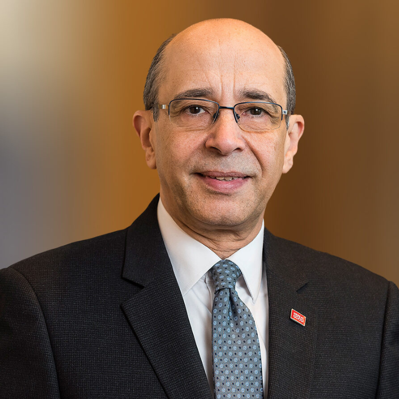 Rafik Goubran