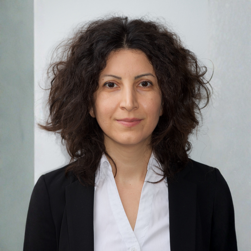 Leila Taghizadeh