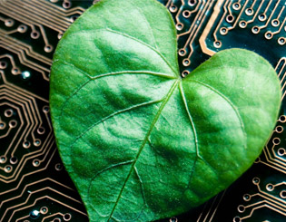 card image TC EE