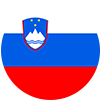 Slovenian flag
